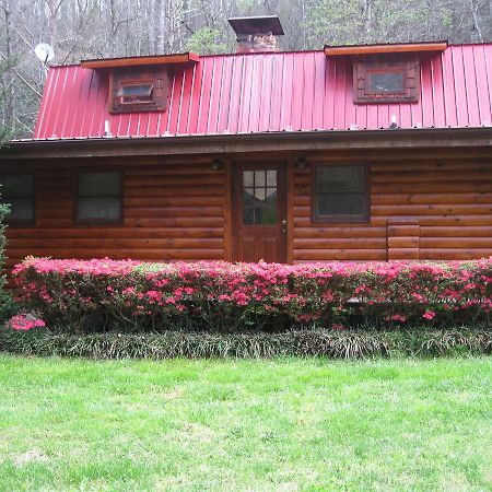 Buffalo Creek Bed And Breakfast รอบบินส์วิลล์ ภายนอก รูปภาพ
