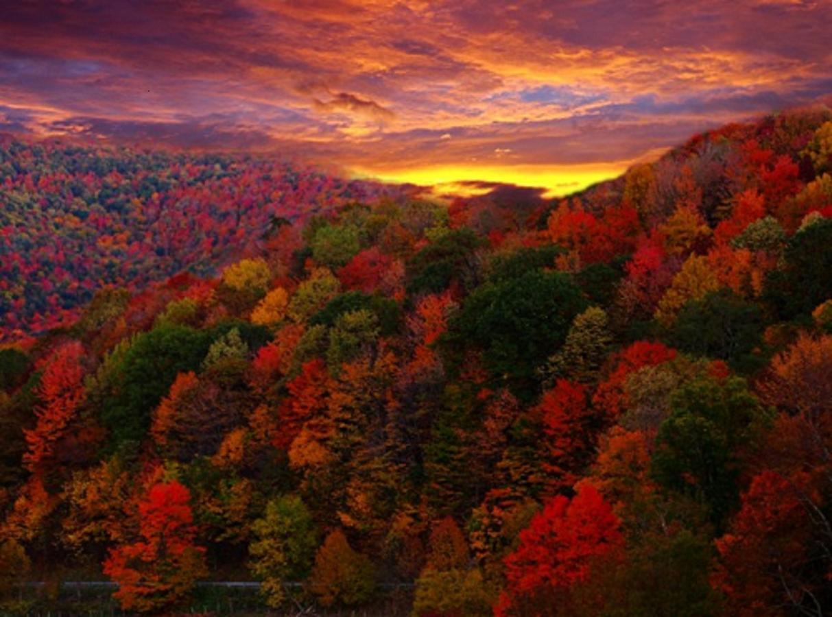 Buffalo Creek Bed And Breakfast รอบบินส์วิลล์ ภายนอก รูปภาพ