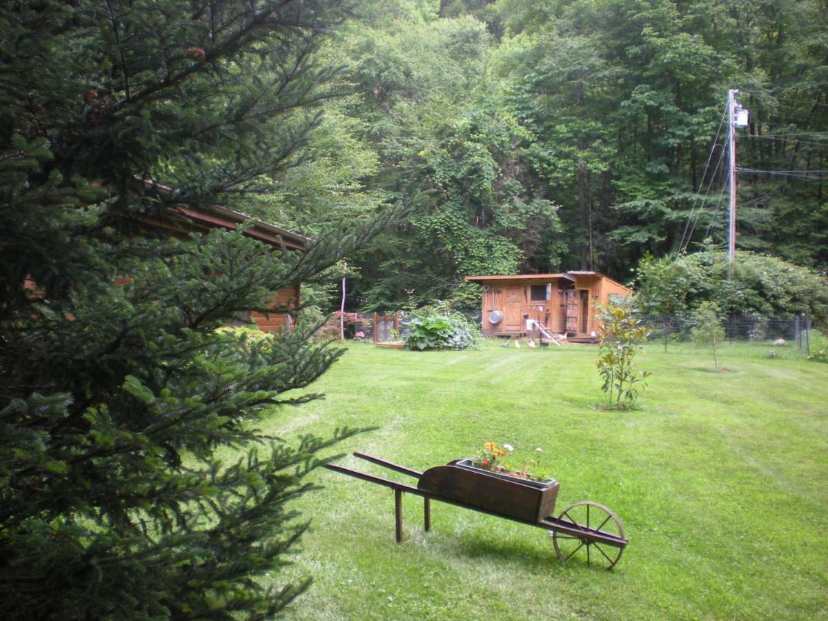 Buffalo Creek Bed And Breakfast รอบบินส์วิลล์ ภายนอก รูปภาพ